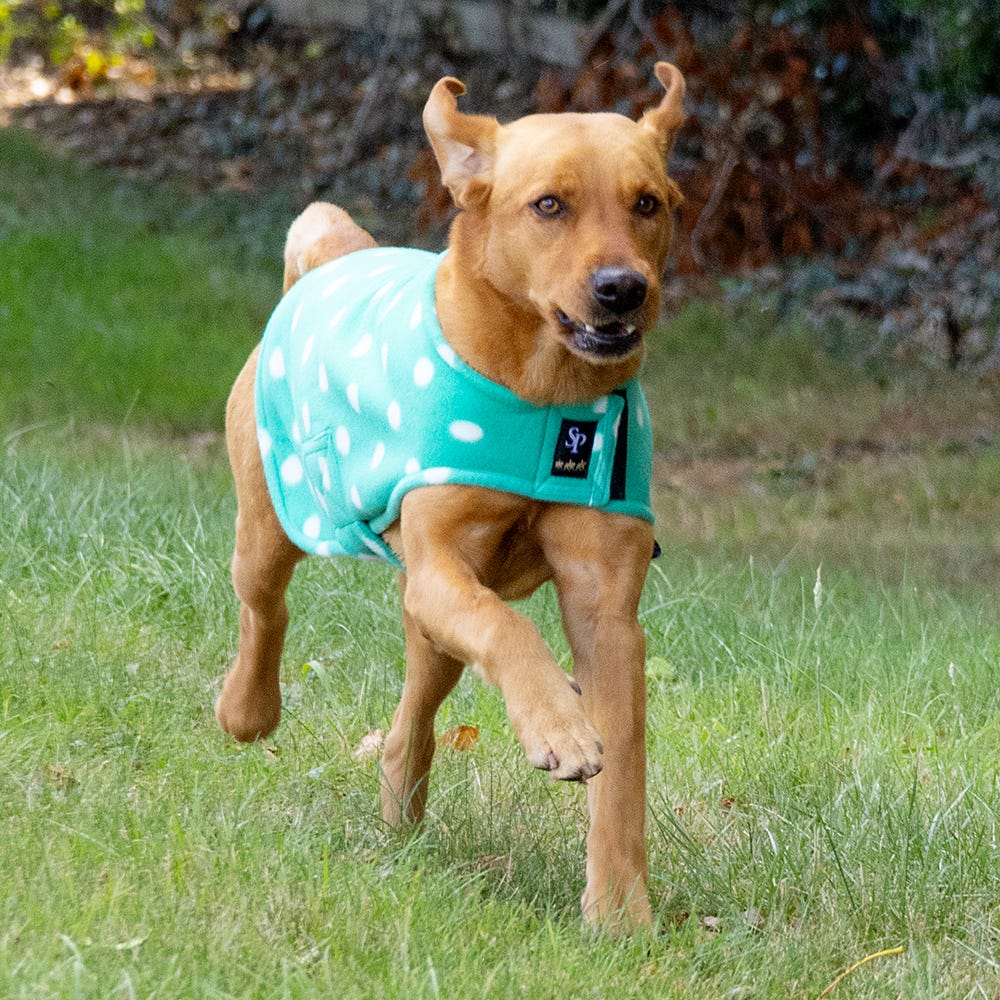 Supreme Products Dotty Fleece Dog Coat image 5